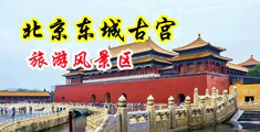 海滩淫妇中国北京-东城古宫旅游风景区